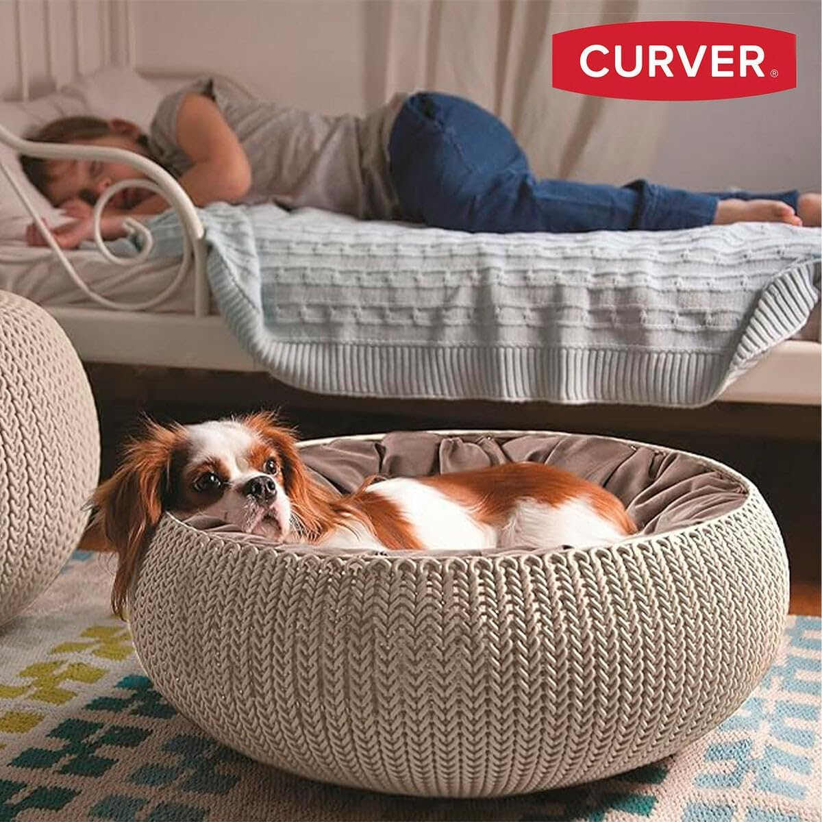 ベッド・クッション・ハウス keter cozy  Cozy Pet Bed | KETER – Keter Argentina